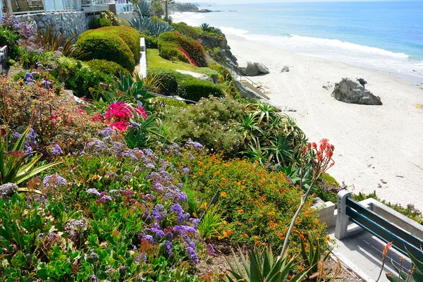 Laguna spiaggia california — Foto Stock