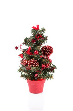 Beyaz üzerine izole edilmiş Noel ağacı