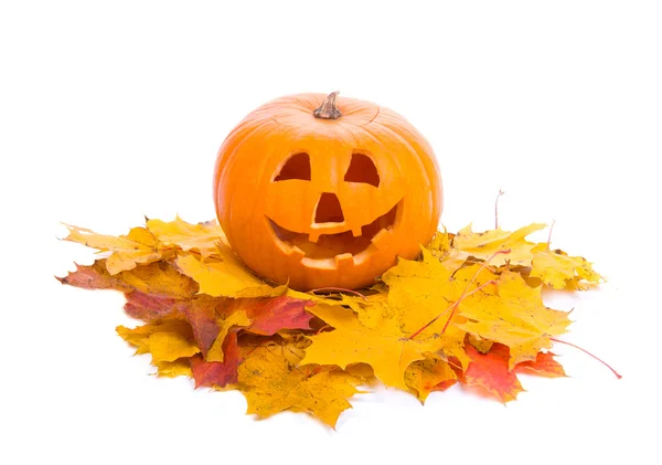 Calabaza de Halloween con hojas aisladas en blanco Fotos de stock libres de derechos