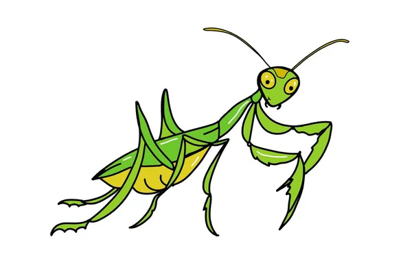 Χαριτωμένο Μασκότ Κινουμένων Σχεδίων Απεικόνιση Mantis Σχέδιο Απομονώθηκε Χρωματισμός — Φωτογραφία Αρχείου