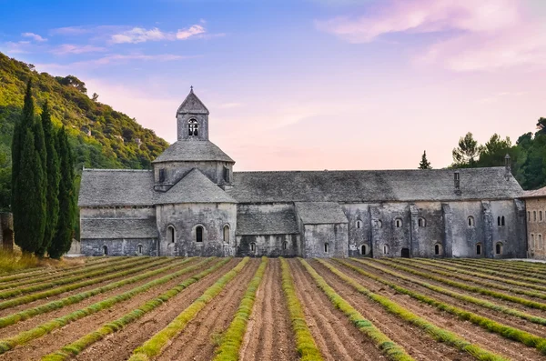 Abbaye de senanque w Prowansji, przed zachodem słońca — Zdjęcie stockowe