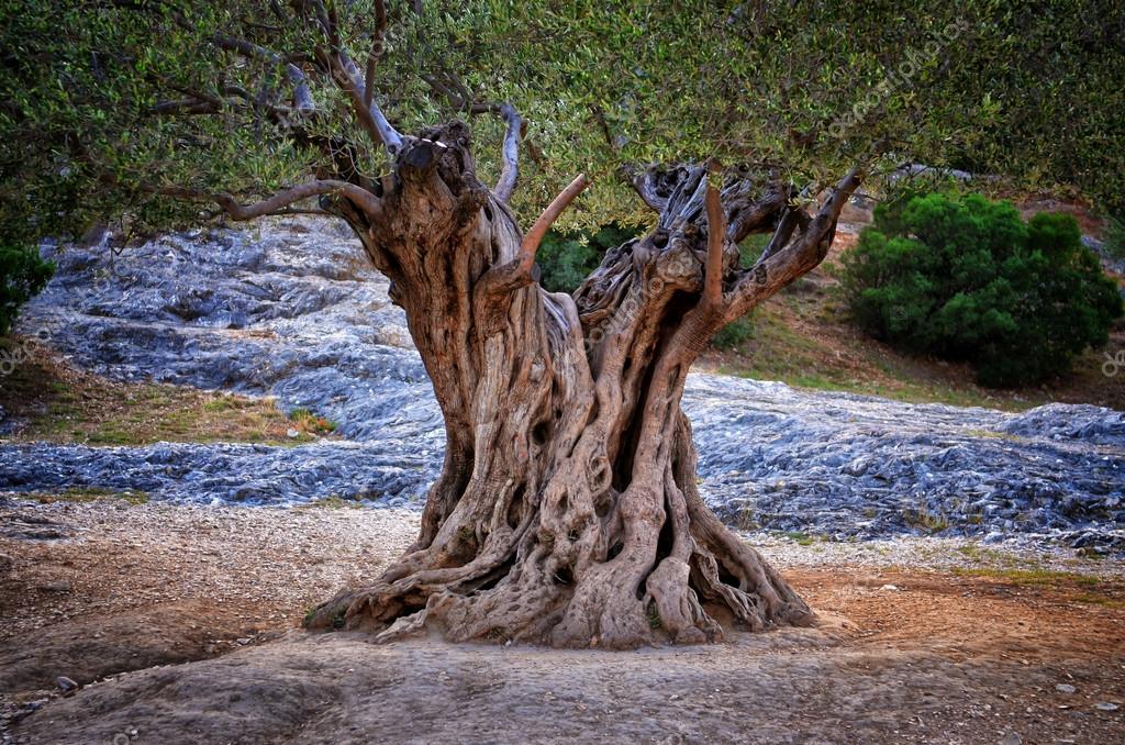 9 Fun Facts About California You Should Know About 2 9 Fun facts about California: Icy Tales