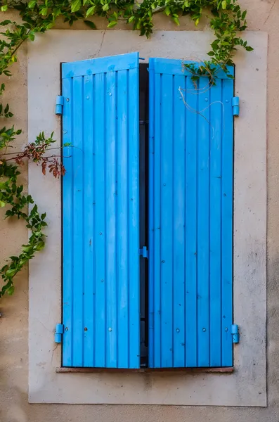 Janela azul fechada com plantas verdes — Fotografia de Stock