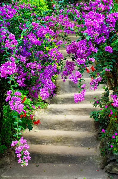 Beautiful colorful blossom flowers and garden stairway