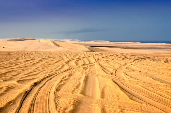 Trilhas de pneus no deserto de areia — Fotografia de Stock