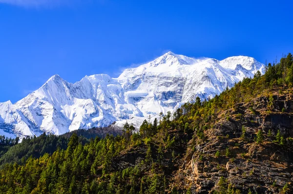 Himalaya vista del pico de montaña Annapurna II — Foto de Stock