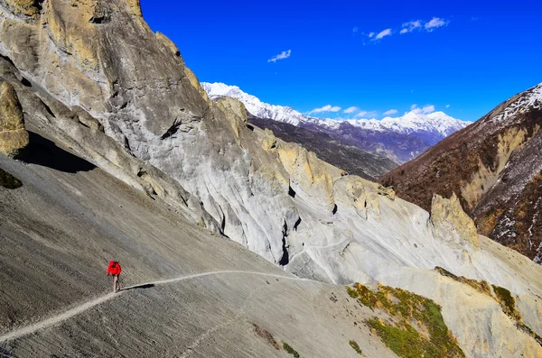 Trekker in red jacket in Himalayas mountains — Stock Photo, Image