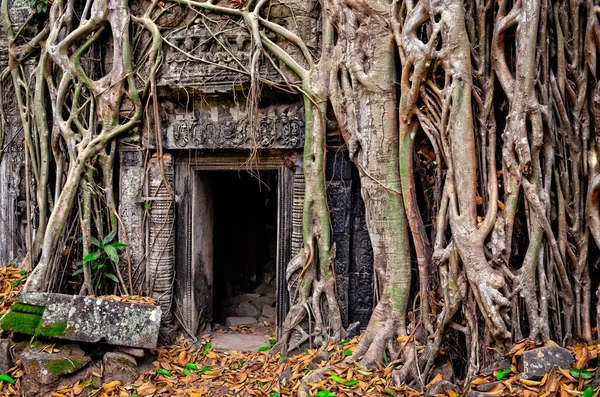 Antigua puerta del templo de piedra y raíces de árbol — Foto de Stock