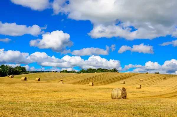 Kurviges Gerstenfeld mit Strohballen und blauem bewölkten Himmel — Stockfoto