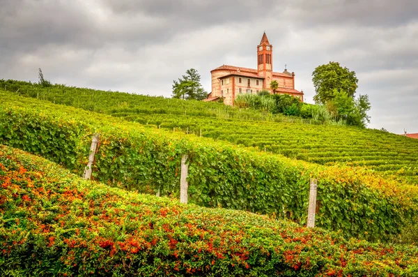 Üzüm bağları ve eski kilise piemont alanında, ital manzara görünümü — Stok fotoğraf