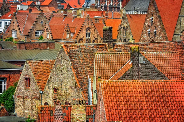 Vista detallada de los antiguos tejados anaranjados en la ciudad histórica —  Fotos de Stock