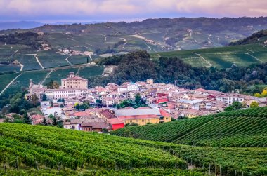 Scenic view of Barolo village in Italy clipart