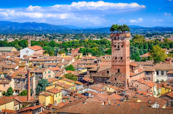 Vacker utsikt över lucca och guinigi tower — Stockfoto