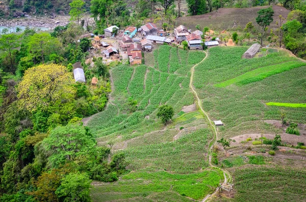 Pole v Himalájích a vesnice zemědělců — Stock fotografie