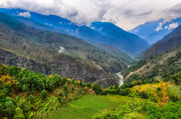Tropické horské krajiny s poli v Nepálu — Stock fotografie