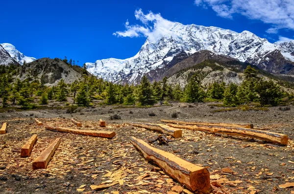 Legname in Himalaya paesaggio montano — Foto Stock