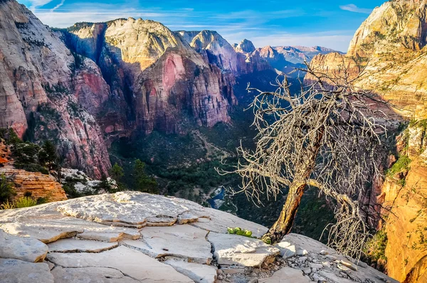 Dağa vadide zion national park manzaralı görünüm — Stok fotoğraf