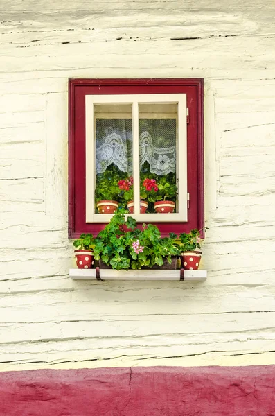 Detalj av färgglada fönster med blommor på gamla traditionella hus — Stockfoto