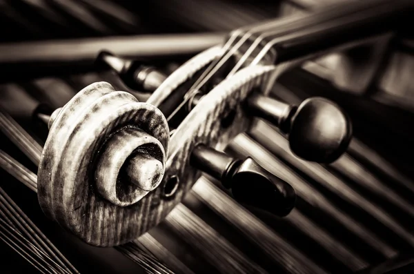Деталь головы скрипки со струнным фоном — стоковое фото
