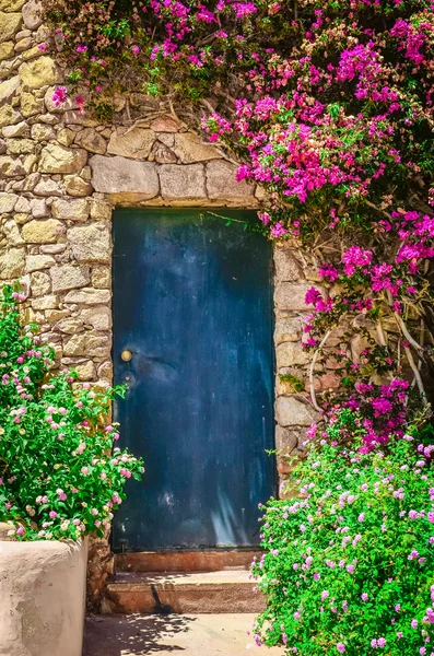 Detail of colorful entrance door surrounded by flowers — Stock Photo, Image
