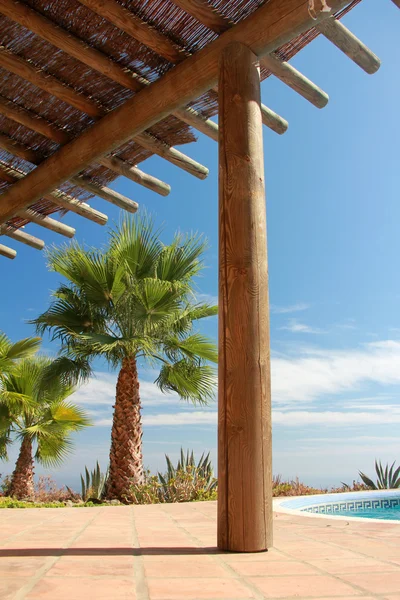 Swimming Pool and nice Palm — Stock Photo, Image