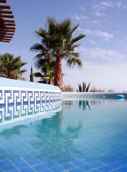 Swimming Pool and nice Palm — Stock Photo, Image