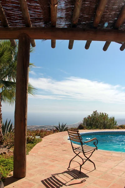 Swimming Pool and nice Palm — Stock Photo, Image