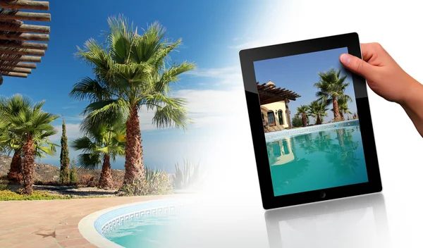 Schwimmbad, Palme und Tablet-PC — Stockfoto