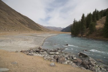 Dağ nehri