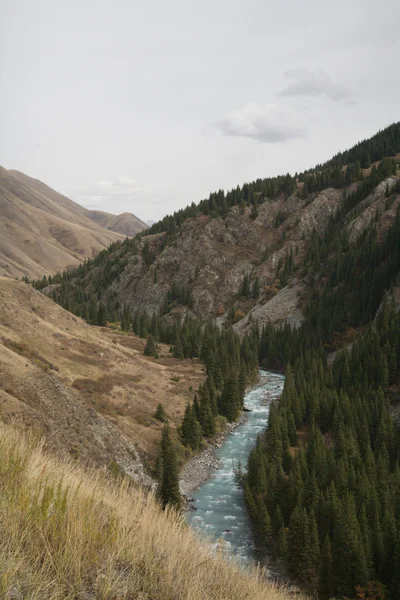 Mountain River — Stock Photo, Image