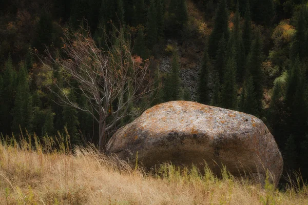 Paesaggio montano — Foto Stock