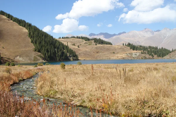 Paesaggio montano — Foto Stock