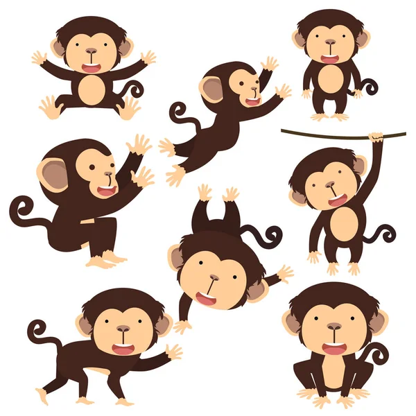 Tatlı Maymun Çizgi Film Karakteri Seti — Stok Vektör
