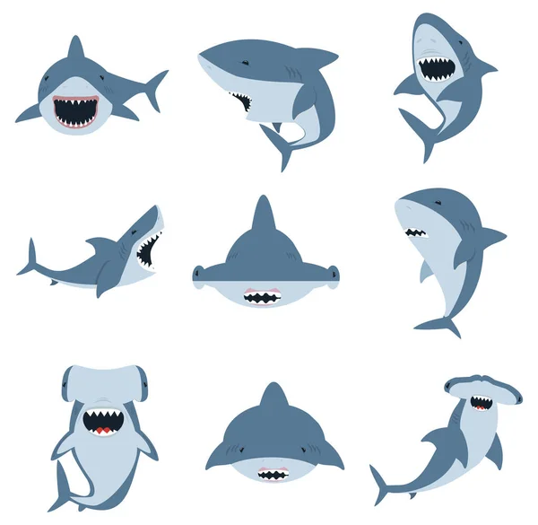 Conjunto Tubarões Martelo Tubarão Branco — Vetor de Stock
