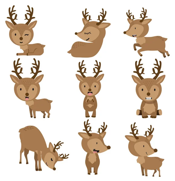 Cute Deers Different Poses — Stock Vector