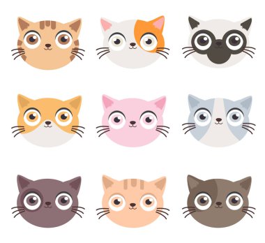 Sevimli kedilerin baş vektörü