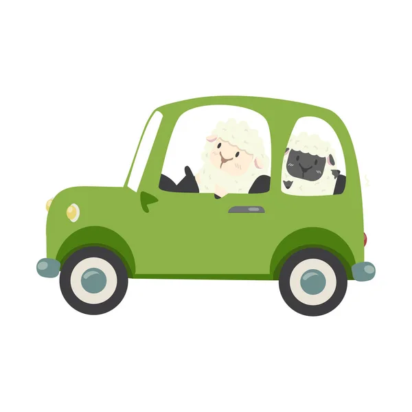 Little Sheep Black Sheep Driving Car — Stock vektor