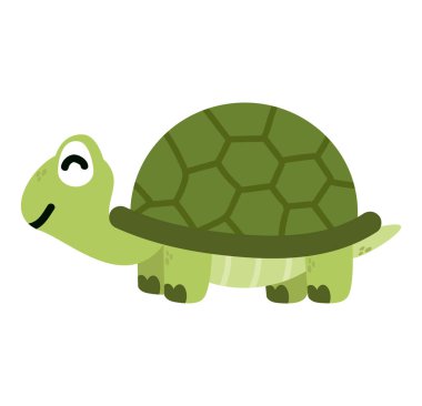  turtle wild  animal cartoon vector