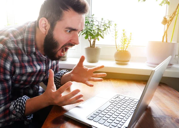 Man Beard Plaid Shirt Lost Patience Screams Laptop Concept Dissatisfaction — Fotografia de Stock