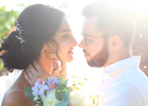 Incredibly Beautiful Brunette Bearded Guy Glasses Kiss Sunset Wedding Day Stockfoto