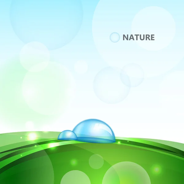 Vattendroppar på grässtrå — Stock vektor