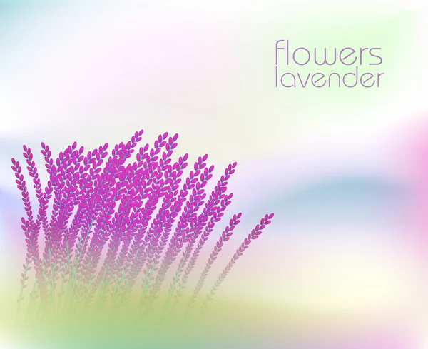 Fondo abstracto con lavanda — Vector de stock