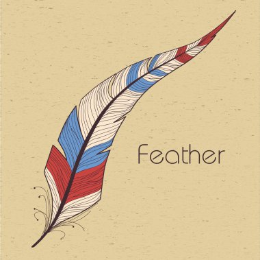 Dekoratif Kuş tüyü