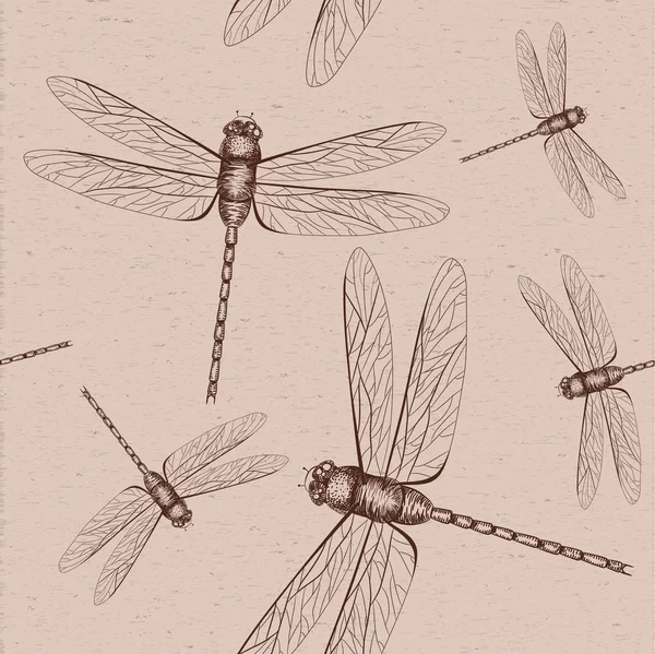 Schizzo libellula — Vettoriale Stock