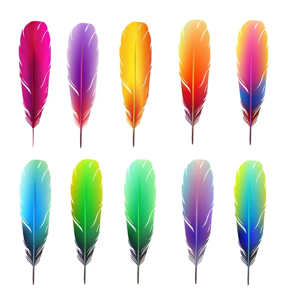 Набор красочных перьев — стоковый вектор