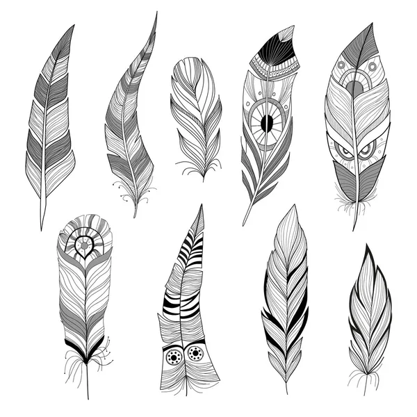 Set of feathers — Stock Vector