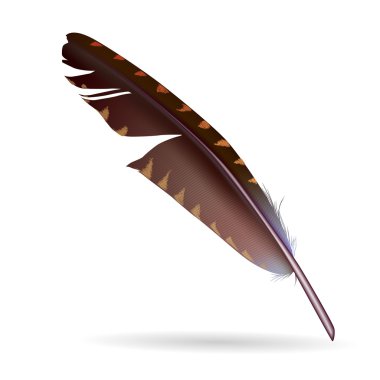 Beyaz arkaplanda izole edilmiş tüy