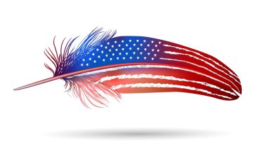 Isolated feather on white background. American flag
