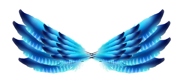 Elszigetelt toll fehér háttér. szárnyak — Stock Vector