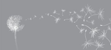 Flower dandelion sketch clipart